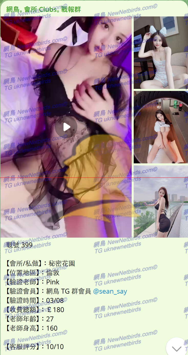 戰號 399 1.png